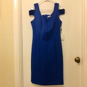 Blue Sheath Dress